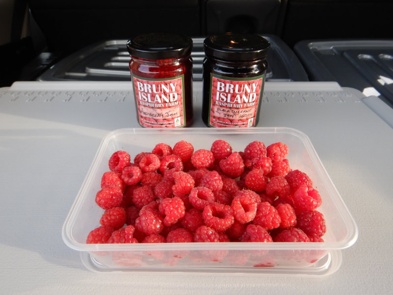 Bruny Island Rasberry Farm