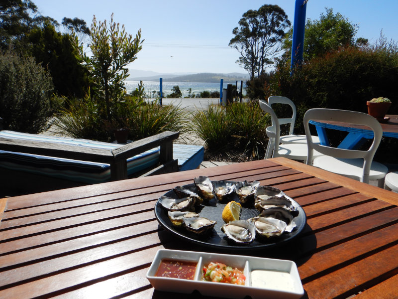 Get Shucked Oyster Farm