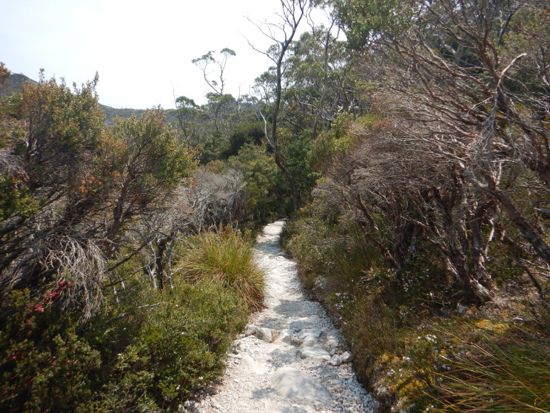 Cradle Mountain NP