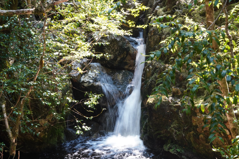 Crater Falls