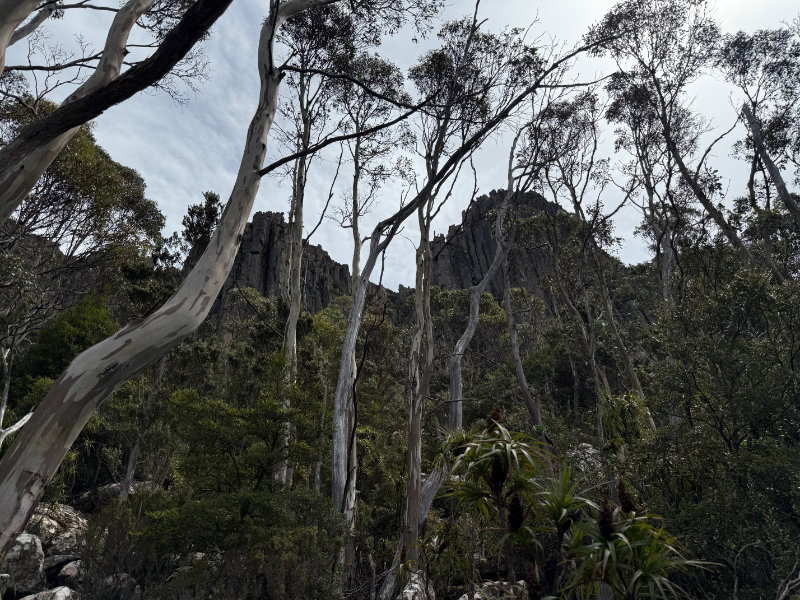 Mt Wellington
