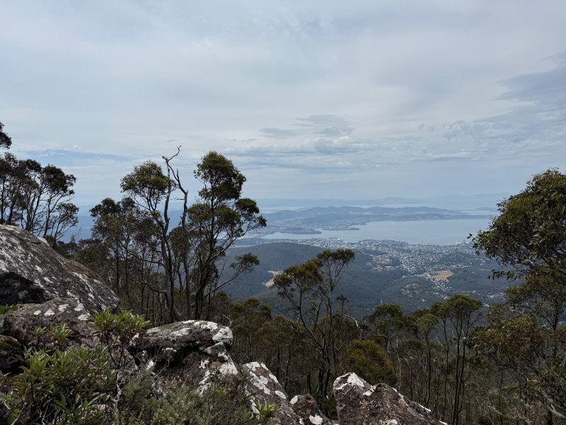 Mt Wellington