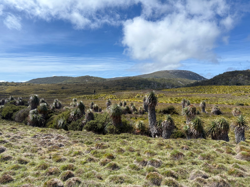 Cradle Mountain NP