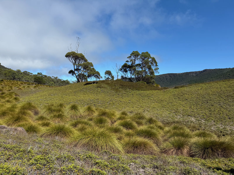 Cradle Mountain NP