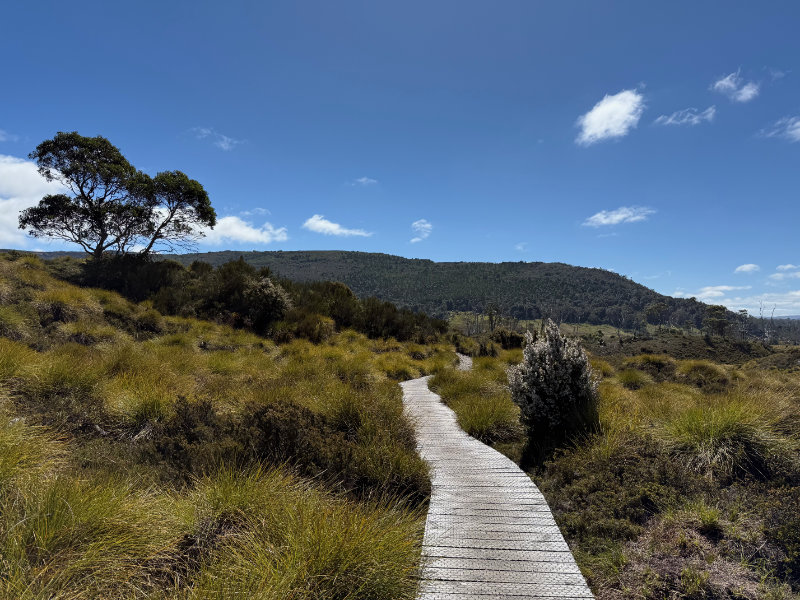 Cradle Mountain NP