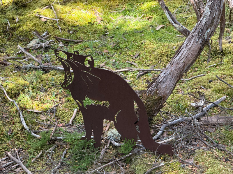 Cradle Mountain NP