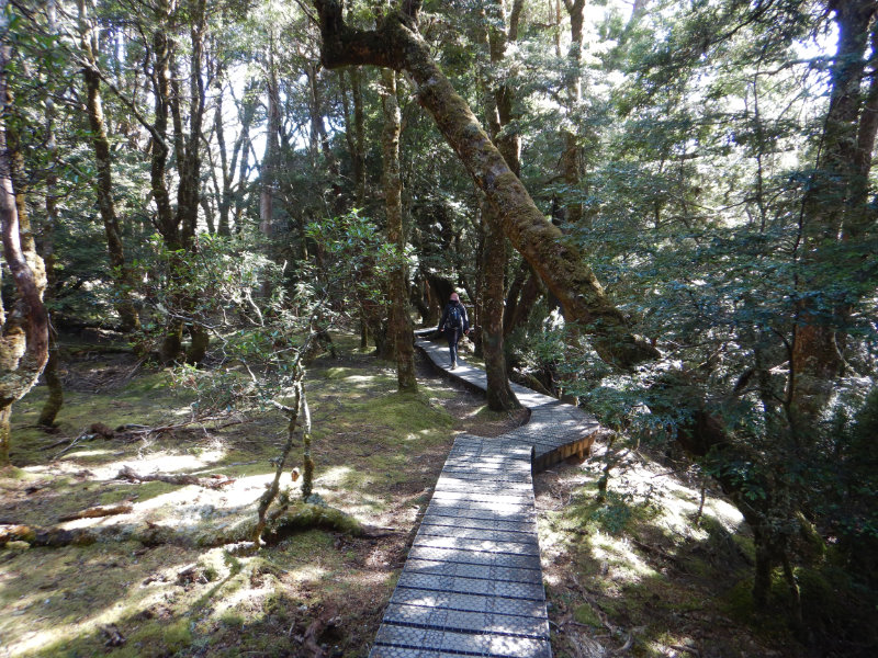 Cradle Mountain NP