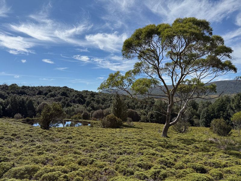 Cradle Mountain NP