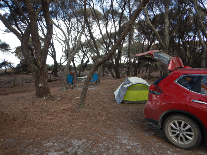 Mt William NP