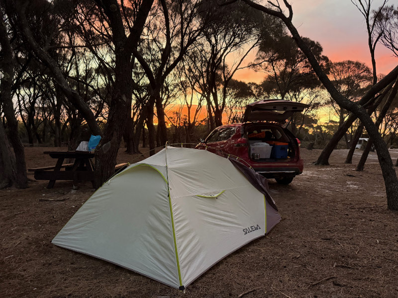 Mt William NP
