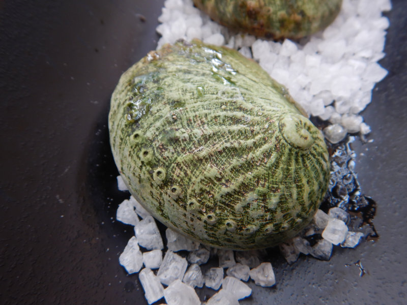 Freycinet Marine Farm