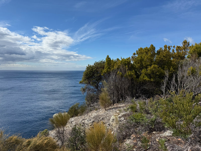 Tasman NP