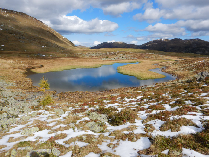 Rosaninsee