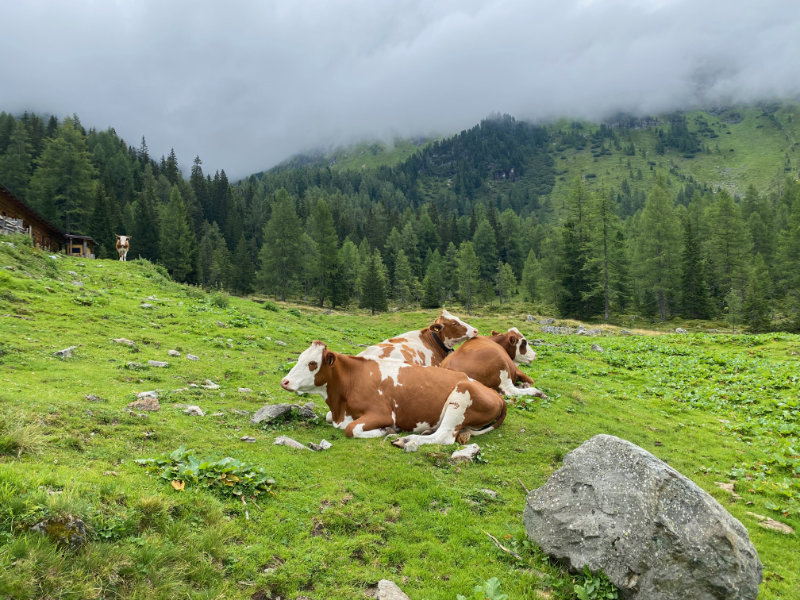 Tauernkaralm