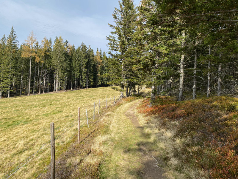 Reinischkogel