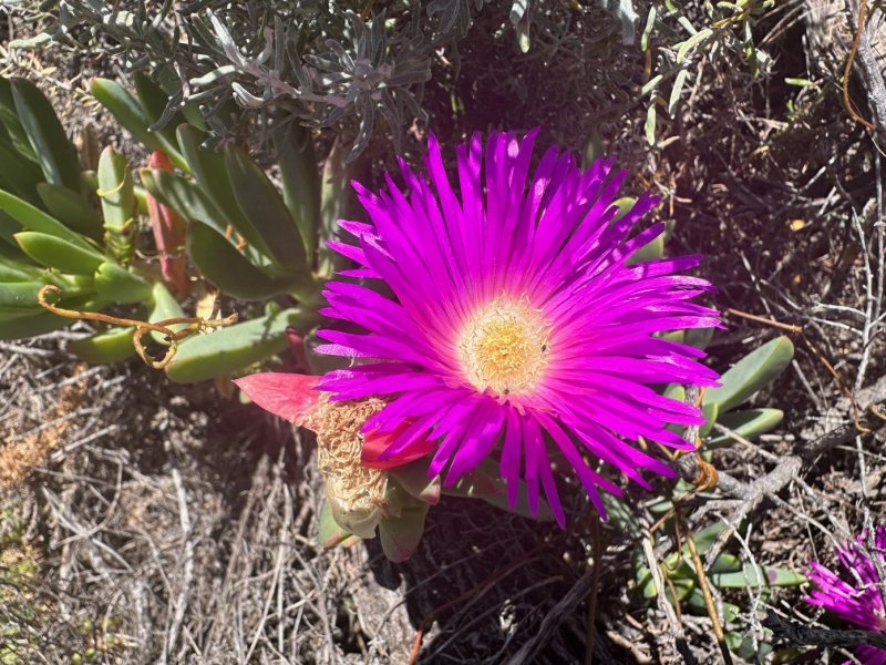 Cape Naturaliste